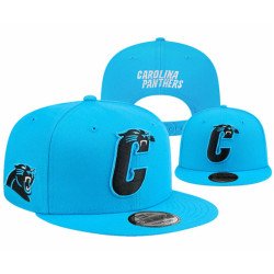 Carolina Panthers 2025 Stitched Snapback Hats