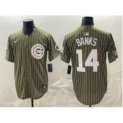 Men's Chicago Cubs #14 Ernie Banks Pinstripe Olive 2026 Armed Forces Day Salute To Service Stitched Baseball Jersey